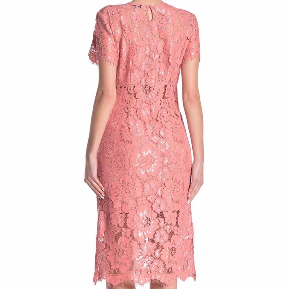 Nsr Lace Short Sleeve Sheath Midi Rose 